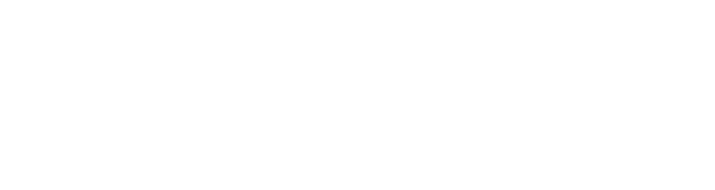 Vortex Roleplay